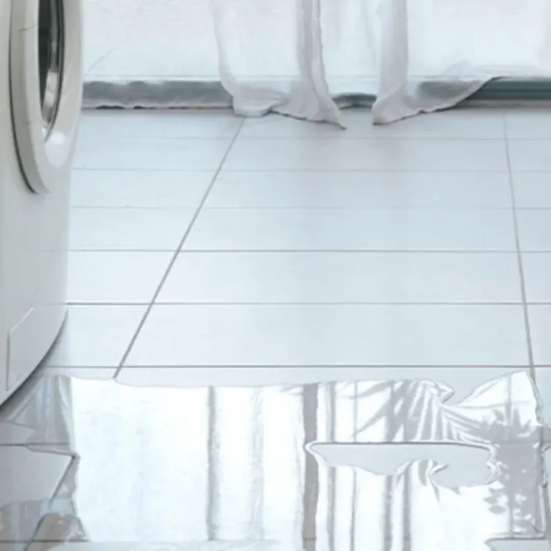 Appliance Leak Cleanup in Eloy, AZ